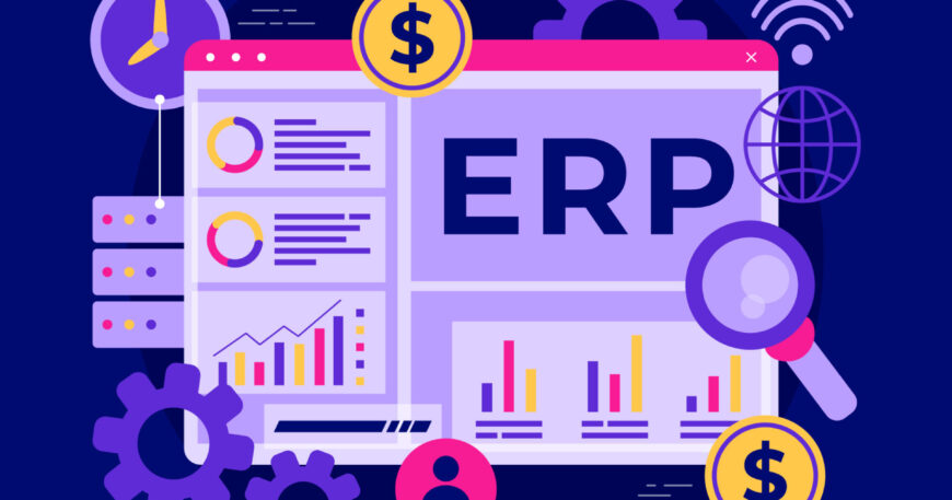 Custom ERP systems